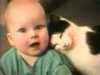 Katte